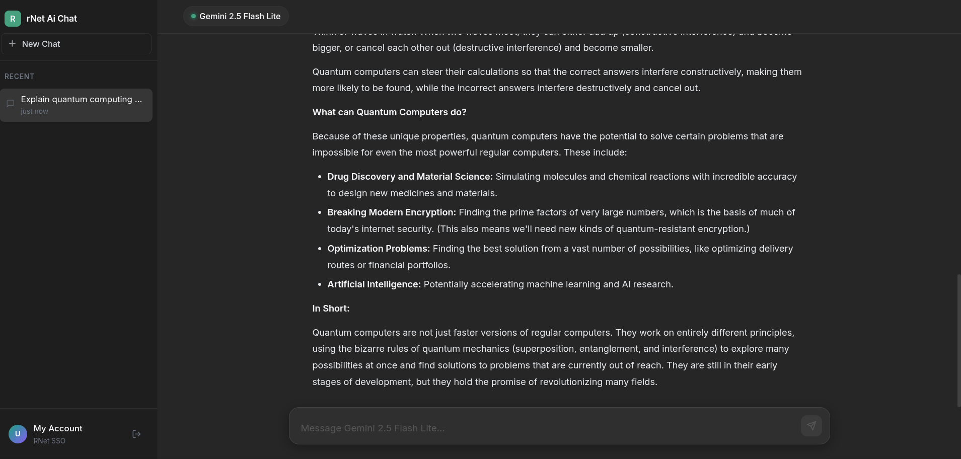 Basic Chat Web Demo showing a Gemini response